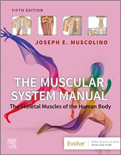 The Muscular System Manual: The Skeletal Muscles of the Human Body 5e