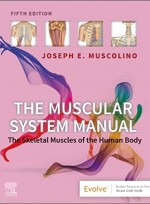 The Muscular System Manual: The Skeletal Muscles of the Human Body 5e