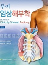 무어 임상해부학  9판