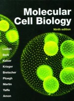 Molecular Cell Biology  9 /E