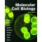 Molecular Cell Biology  9 /E