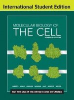 Molecular Biology of the Cell  7th