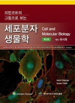 리핀코트의 그림으로 보는 세포분자생물학,3/판