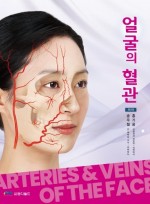 얼굴의 혈관 (Arteries & Veins of the Face)