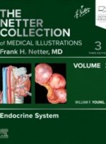 The Netter Collection of Medical Illustrations: Vol.2 The Endocrine System,3/e