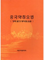 중국약침요법 (경락.팔강.봉약침요법)  (제본도서)