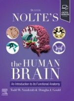 Nolte's The Human Brain 9e-An Introduction to its Functional Anatomy