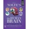 Nolte's The Human Brain 9e-An Introduction to its Functional Anatomy