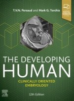 The Developing Human 12e -Clinically Oriented Embryology