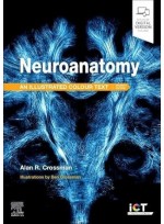 Neuroanatomy: Illustrated Colour Text 7e