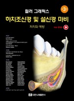 컬러 그래픽스 하치조신경 및 설신경 마비 처치와 예방 3판