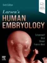 Larsen's Human Embryology 6e