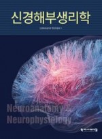 신경해부생리학 2025