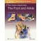 Master Techniques in Orthopaedic Surgery: The Foot and Ankle,4/e