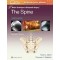 Master Techniques in Orthopaedic Surgery: The Spine,4/e
