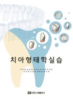 치아형태학실습 (스프링 도서)