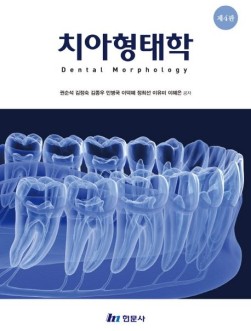 치아형태학  4판