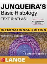 Junqueira's Basic Histology 16e : Text & Atlas(IE)