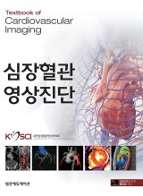 심장혈관영상진단