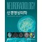 신경영상의학  2026