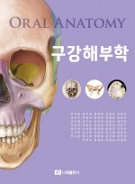 구강해부학