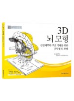 3D 뇌 모형 - 신경해부학 구조 이해를 위한 조립형 뇌 모델