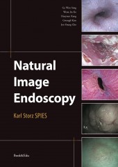 Natural Image Endoscopy - Karl Storz SPIES