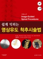 쉽게 익히는 영상유도 척추시술법 (Atlas of Image-Guided Spinal Procedures 번역본)