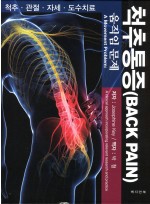 척추통증 - 움직임 문제 -(Back Pain: A Movement Problem-A clinical approach incorporating relevant research and practice)