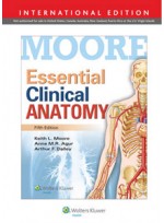 Essential Clinical Anatomy,5/e(IE)