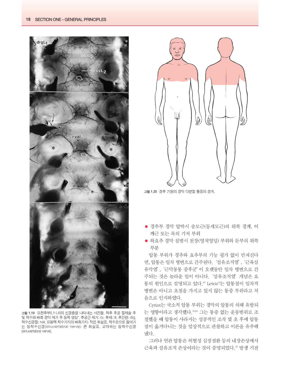 근골격계 통증의학, 2판 (2 Vol.- CD포함) 