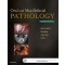 Oral & Maxillofacial Pathology,4/e
