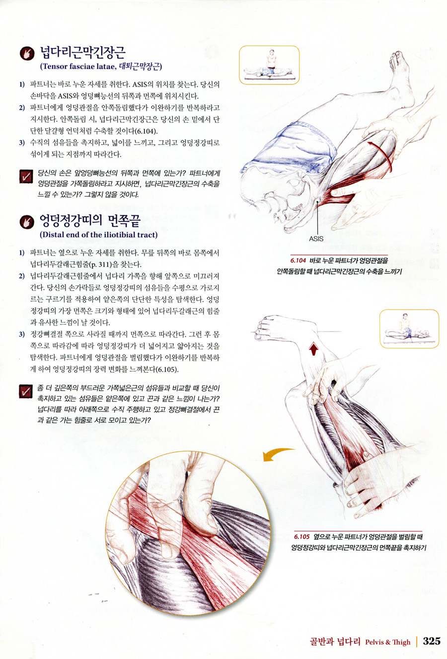근육뼈대계통 Palpation Road Map (5판 )-손으로 근육, 뼈, 기타 조직의 위치를 찾기 위한 안내서
