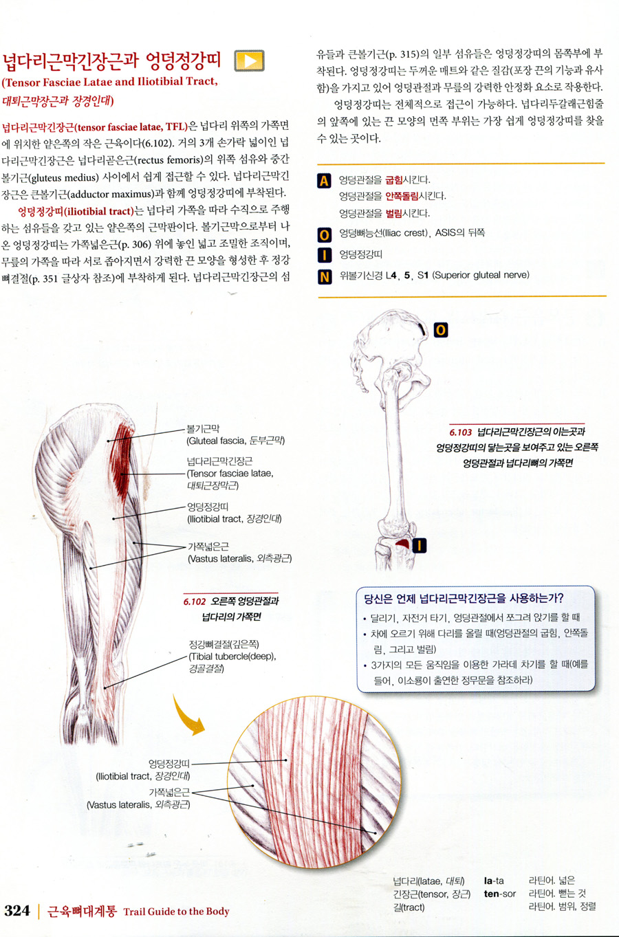 근육뼈대계통 Palpation Road Map (5판 )-손으로 근육, 뼈, 기타 조직의 위치를 찾기 위한 안내서