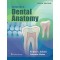 Woelfels Dental Anatomy, 9th 