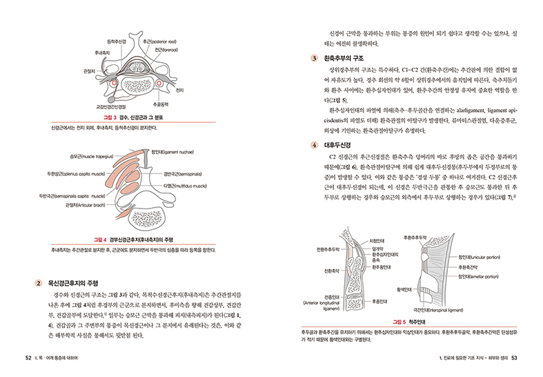 목과 어깨통증의 진단과 치료(Primary Care for Musculoskeletal Disorders : Neck and Shoulder Pain) 
