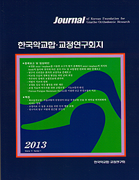 한국 악교합·교정연구회지 2013
