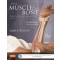 The Muscle and Bone Palpation Manual with Trigger Points, Referral Patterns and Stretching, 2nd Edition
