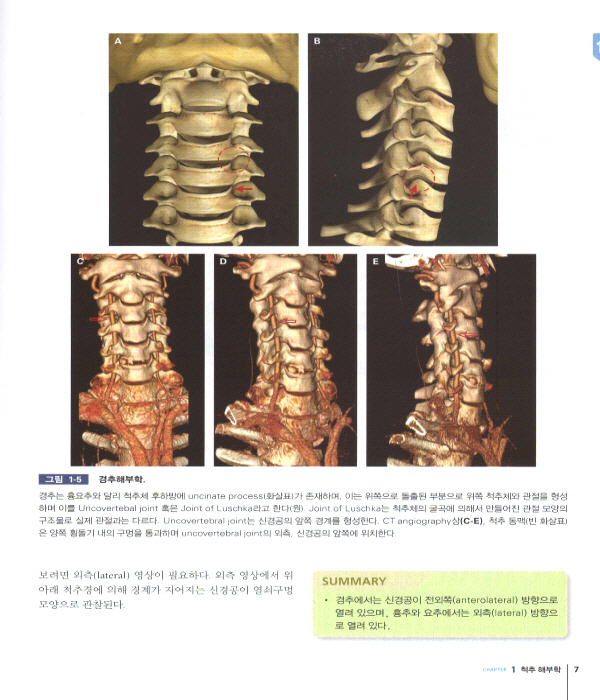 척추영상진단 Spinal Imaging