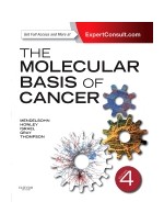 The Molecular Basis of Cancer,4/e- Expert Consult:Online & Print 