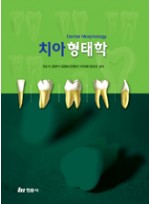 치아형태학 (권순석)