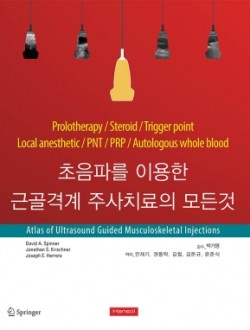 초음파를이용한 근골격계 주사치료의모든것