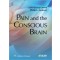 Pain and the Conscious Brain 