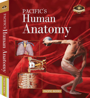 PACIFIC'S Human Anatomy [퍼시픽 인체 해부학]