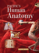 PACIFIC'S Human Anatomy [퍼시픽 인체 해부학]
