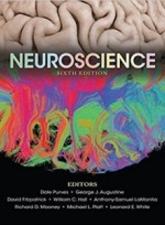 Neuroscience, 6/E 