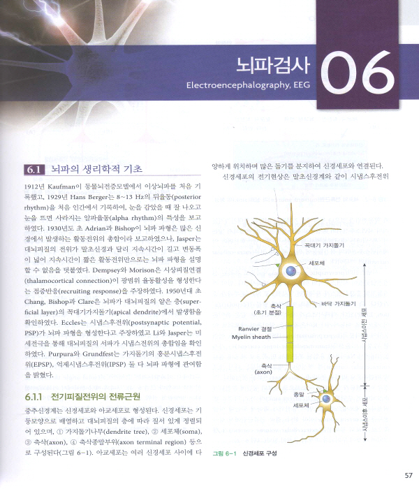 임상뇌전증학(개정판)-Clinical Epileptology