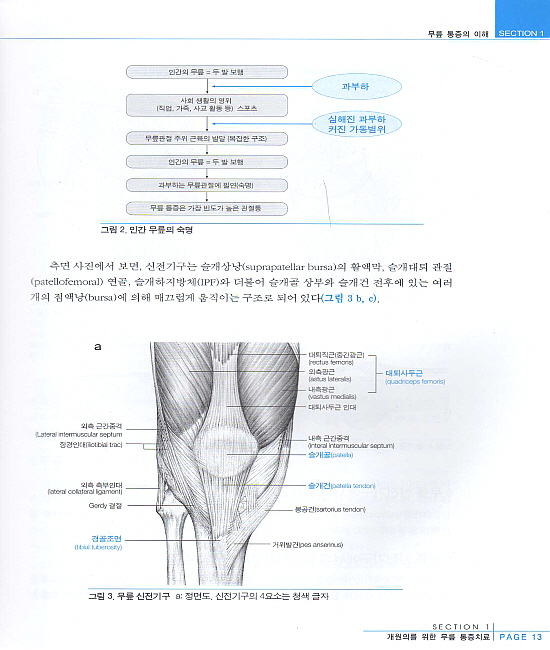 무릎 통증치료 (개원의를위한)