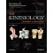 뉴만 Kinesiology 근육뼈대계통의기능해부학및운동학 3판