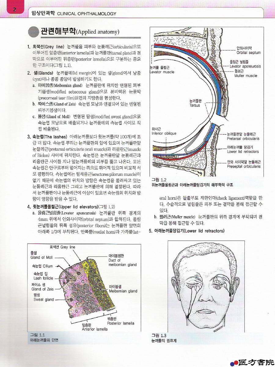 jj7